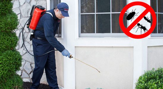 Çukurca Bit İlaçlama böcek ilaçlama ve haşere kontrolü — ilaclama-tr.com